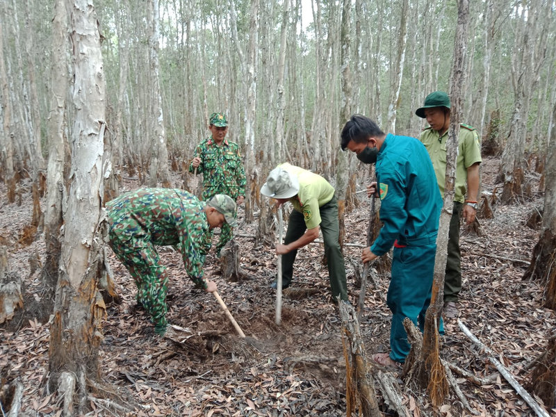 kiem tra rung (2).jpg